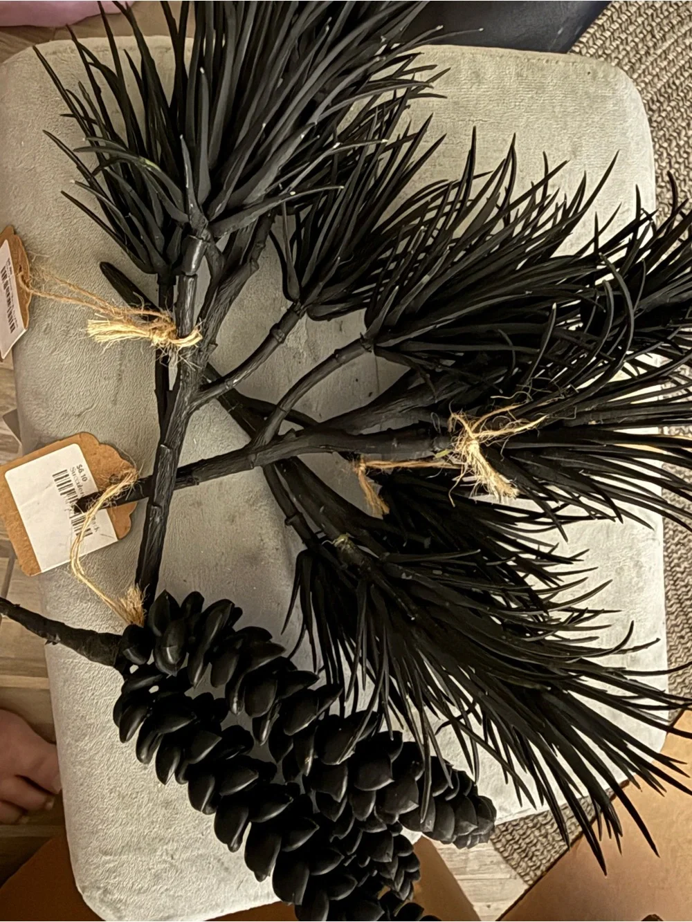 New Set of 5/ Sullivans Black Artificial Succulent Pick 10